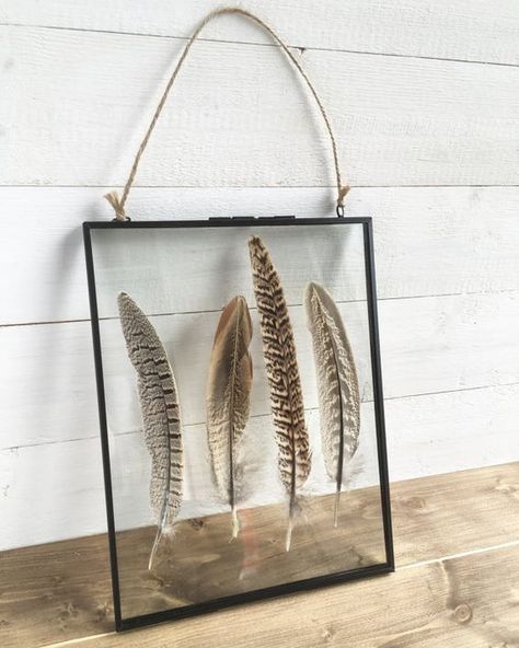 Feather Display, Pheasant Feather, Glass Photo Frames, Deco Nature, Photo Frame Gift, Feather Decor, Pheasant Feathers, Feather Crafts, Turkey Feathers