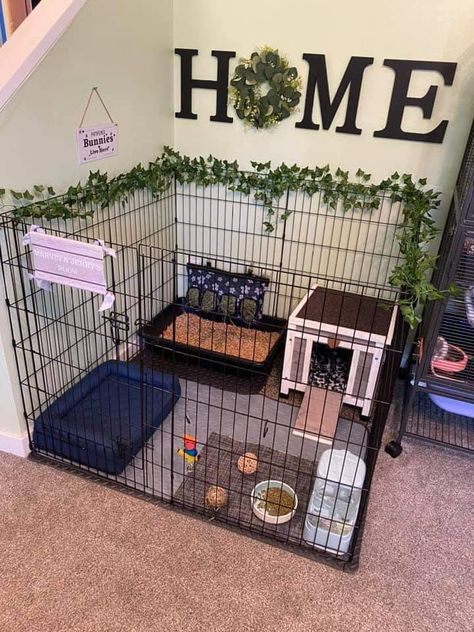 Cute Indoor Bunny House, Pet Cage Ideas Dogs, Dog Crate Rabbit Cage Diy, Bunny X Pen Set Up, Indoor Rabbit Setup Bunny Cages, Dog Kennel Rabbit Cage, Rabbit Enclosure Indoor Ideas, Cute Dog Cage Ideas, Indoor Rabbit Setup Diy