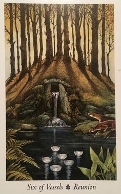 Wild Wood Tarot, Wildwood Tarot, All Tarot Cards, Tarot Gifts, Tarot Significado, Tarot Magic, Angel Oracle Cards, Angel Cards, Tarot Card Decks