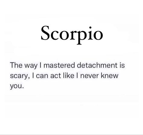 Scorpio Quotes Aesthetic, Scorpio Zodiac Facts Women, Funny Scorpio Quotes, Scorpion Queen, Scorpio Szn, Scorpio Aesthetic, Zodiac Quotes Scorpio, Instagram Content Creator, Astrology Scorpio