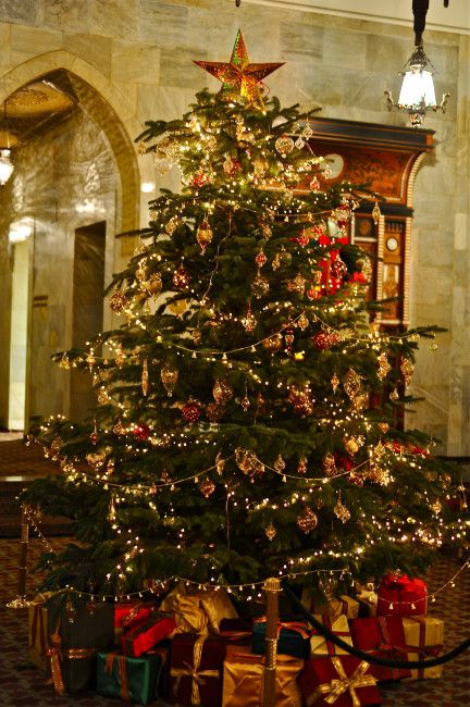 Christmas tree, Mena House, Giza, Egypt. Christmas In Egypt, Travel Egypt, Giza Egypt, Giza, Christmas Is Coming, Christmas Inspiration, Christmas Season, Christmas Seasons, Christmas Trees