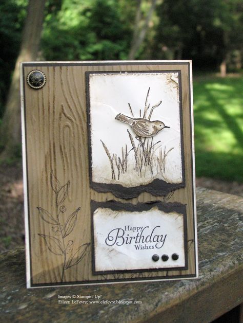 Techno Stamper: Monday Lunchtime Sketch Challenge 267 (TSSC267) Male Birthday, Masculine Birthday Cards, Boy Cards, Card Crafts, Birthday Cards For Men, Embossed Cards, Bird Cards, Stamping Up Cards, Male Cards