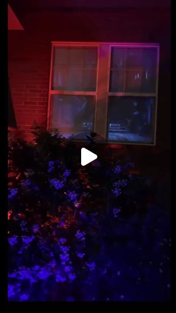 Holiday Finds🎄 on Instagram: "Transforming your windows into a spooky spectacle! 🕷️👻 Get ready for Halloween with this epic window projection idea! 🎃✨
Decor, costume and treat shop in bio 🍬👻
Idea by : thehalloweenpage on TikTok 

📢 Have you ever tried a Halloween window projection? Share your spooktacular ideas and experiences in the comments below! Let’s make this Halloween the most memorable one yet! 🎃🕸️

#HalloweenWindowProjection #SpookyDecor #HalloweenPreparations #TrickOrTreat #HauntedHouse #HalloweenMagic #ScaryGoodTime #Halloween2023 #Spooktober #HalloweenInspiration" Halloween Projection Window, Halloween Window Projections, Halloween Window Projector, Window Projection, Window Projector, Halloween Window Display, Halloween Projector, Holiday Finds, Halloween Window