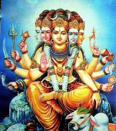 Har Har Mahadev Instagram photo Sada Shiv, Shiva Shankara, Shiv Shankar, Mahakal Shiva, Ancient Indian Architecture, Har Mahadev, Har Har Mahadev, Lord Shiva Family, Lord Vishnu Wallpapers