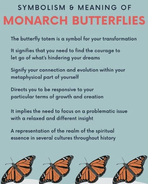 Monarch Butterfly Symbolism Meaning, Monarch Butterfly Meaning, White Butterfly Symbolism, Butterfly Totem Spirit Animal, Spiritual Meaning Of Monarch Butterfly, Crow Totem, Butterfly Spirit Animal, Native American Zodiac, Butterfly Symbolism