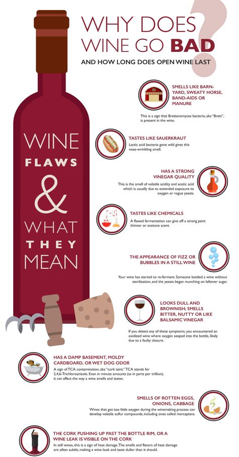 Wine Chart, Wine Cheese Pairing, Wine Facts, Negroni Cocktail, Wine Folly, Wine Knowledge, Wine Education, Homemade Wine, Wine Tasting Party