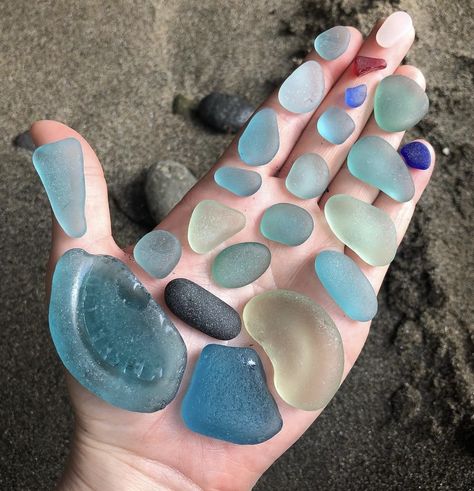 Siren Song, Beach Finds, Sea Glass Beach, Beach Shack, Glass Gems, Beach Combing, Sea Glass Art, All Things Cute, Cute Animal Photos