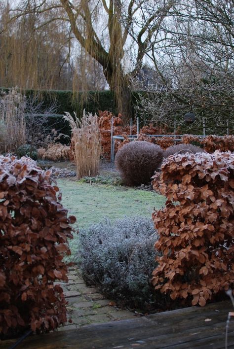 Garden Visit: At Home with Maria Dremo Sundström in Sweden - Gardenista Miscanthus Sinensis Malepartus, Garden Bonsai Tree, Garden Hedges, Garden Shrubs, Flower Landscape, The Secret Garden, Garden Photography, Bonsai Garden, Garden Cottage