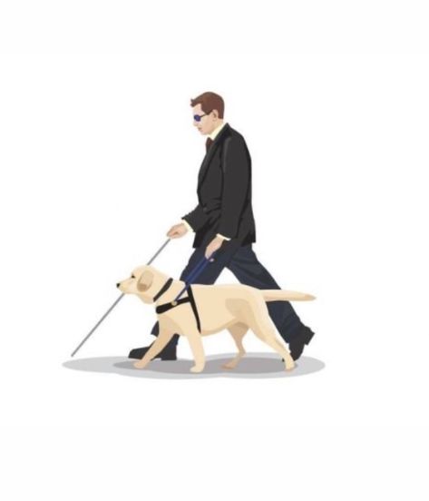 Guide Dogs For The Blind, Storyboard Illustrations, Blind Person, White Cane, Storyboard Illustration, Dog School, Guide Dog, Year 2, Service Dogs