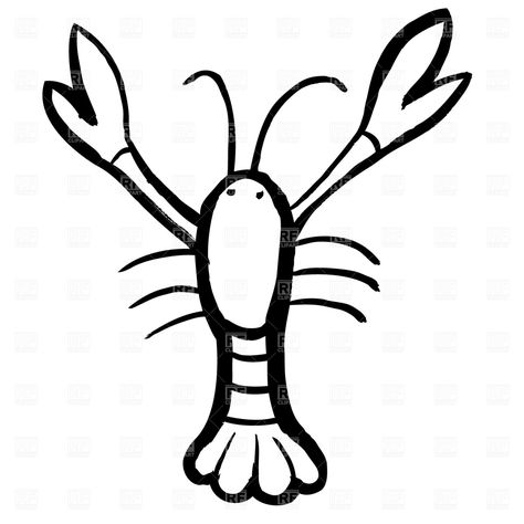 Crawfish Drawing, Lobster Drawing, Crawfish Party, Raccoon Tattoo, Bow Image, Family Wood Signs, Free Clipart Images, La Art, Drawing Simple