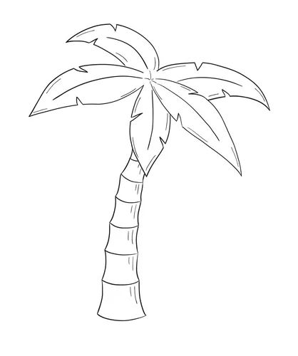 Sketch of the palm tree Royalty Free Vector Image Palm Tree Sketch, Tree Painting Easy, Tree Drawing Simple, Palm Tree Drawing, Tree Drawings Pencil, Palm Tree Vector, Summer Drawings, Beach Drawing, Palm Trees Painting