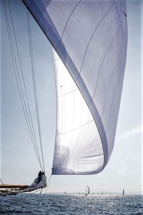 Photo Sailing Holidays, Yacht Boat, Family Cruise, Yacht Design, Yacht Charter, Boat Rental, Open Water, Tall Ships, Sailing Yacht