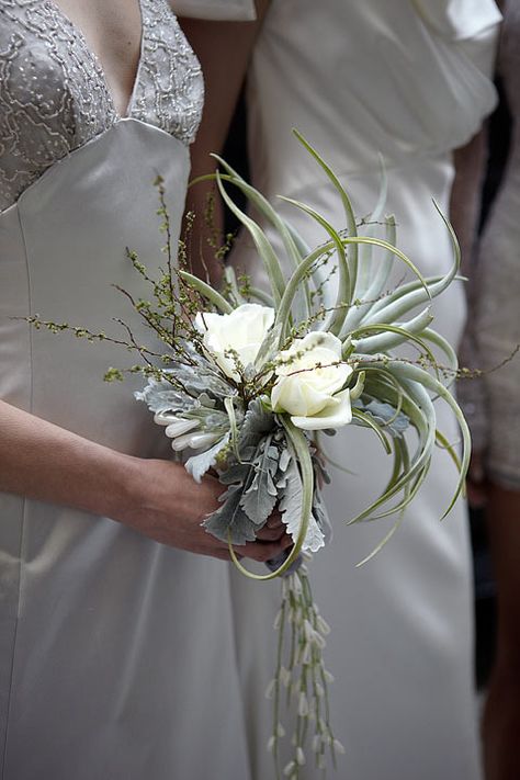 Air Plant/Rose/Lambs Ear Bouquet Air Plants Ideas, Houseplant Bouquet, Mother Of The Bride Bouquet, Air Plant Wedding, Lambs Ear Bouquet, Modern Bridal Bouquets, Unique Bridal Bouquets, Simple Wedding Bouquets, Flower Girl Bouquet