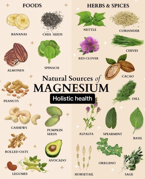 Sources Of Magnesium, Magnesium Foods, Foods High In Magnesium, Magnesium Rich Foods, Food Health Benefits, Herbal Healing, Herbs For Health, Holistic Nutrition, Natural Health Remedies