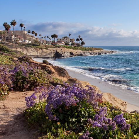 La Jolla offers beautiful views of the ocean and rugged cliffs, but you'll also find elegant restaurants and little cafes, along with upscale shopping, art museums, and a world-class research aquarium. California Beach Aesthetic, 2023 Vibes, Southern California Travel, Seaside Cafe, California Life, Cali Trip, La Jolla Shores, California Beaches, Southern California Beaches