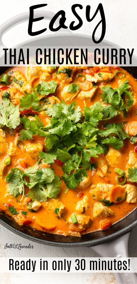 Thai Chicken Curry With Coconut Milk, Easy Thai Chicken, Coconut Curry Chicken Recipes, Coconut Broth, Red Curry Recipe, Thai Curry Recipes, Coconut Curry Recipes, Thai Chicken Curry, Red Curry Sauce