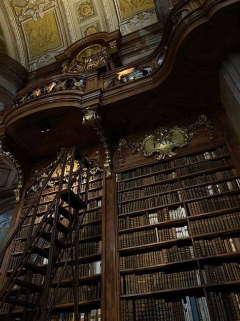 Dark Academia Library, Dream Library, Chaotic Academia, Library Architecture, Old Library, Library Aesthetic, Vintage Library, Hogwarts Houses, Dark Academia Aesthetic