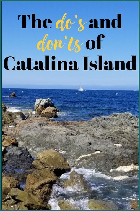 Catalina Island Outfit, Catalina California, Catalina Island California, Santa Catalina Island, Travelling Tips, Portugal Vacation, Vacation Tips, Us Travel Destinations, Budget Tips