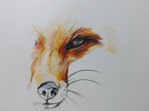 Original Fox Drawing in Color Pencil. $38.00, via Etsy. Jack Vettriano, Fox Artwork, Sublimacion Ideas, Fox Drawing, Fox Eyes, Fox Tattoo, Animal Drawing, Fox Art, Eye Tattoo