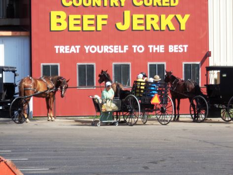 Amish Country Ohio, Holmes County Ohio, Amish Farm, Meat Shop, World Population, Amish Country, Drive Through, Alpha Phi, Outside World