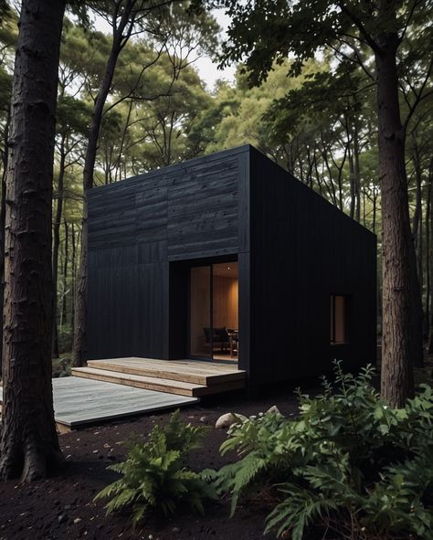 Yakisugi Houses, Shou Sugi Ban House, Black Architecture, Black Cabin, Prefab Cabins, Best Tiny House, Modern Barn House, Sugi Ban, Harmony With Nature