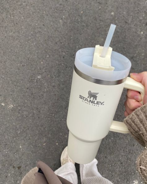 Stanley Bottle, Stanley Water Bottle, Coffee Smoothie, Vacuum Insulated Water Bottle, Drinks Tumbler, Stanley Quencher, Cute Cups, Tea Or Coffee, Metal Straws