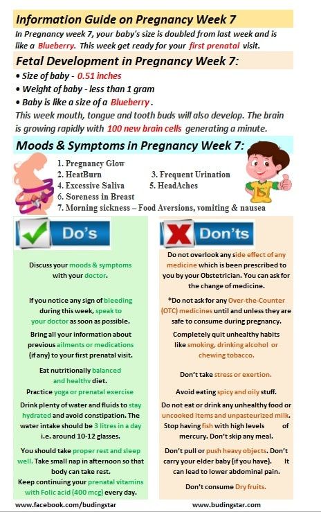 In Pregnancy week 7, your baby’s size is doubled from last week and is like a Blueberry. Get ready for your first prenatal visit.It’s a 7th week pregnancy and most of us prefer to keep it secret. Though we share this news with our loved ones but we generally do not disclose this good news to everyone. But we continuously search for the information about our fetal development, about the symptoms of pregnancy, etc. as 7th week is near about 2 months pregnancy.So, in this complete information guide Pregnancy Week 6, 8 Weeks Pregnant, First Prenatal Visit, Pregnancy Due Date Calculator, 4 Weeks Pregnant, 9 Weeks Pregnant, 6 Weeks Pregnant, 5 Weeks Pregnant, Ovulation Calculator