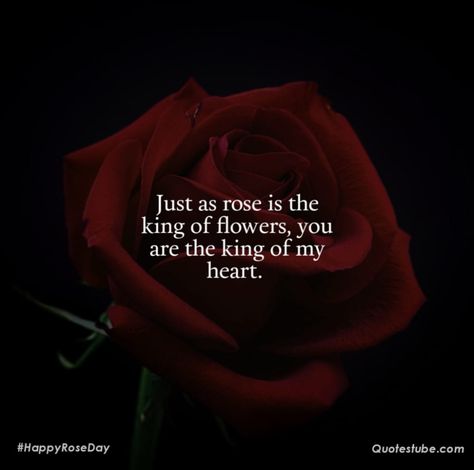 Rose Day Shayari, Happy Rose Day, Rose Quotes, Shayari In English, Rose Day, Always Thinking Of You, Sweet Love Quotes, Quotes Of The Day, Thinking Quotes