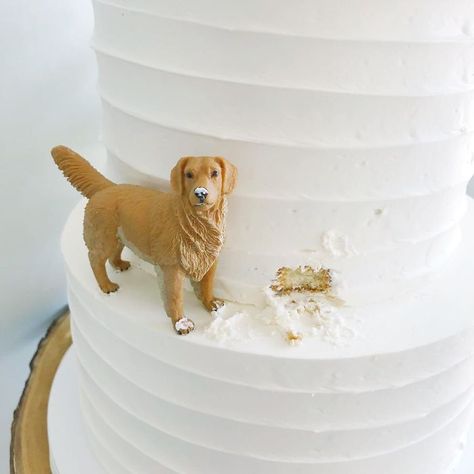 Cakes-Design-Kake-Darci Wedding Cakes Dog, Dog Cake Topper Wedding, 강아지 그림, Themed Wedding Cakes, Dog Cake, Future Wedding Plans, Tiny Dogs, Dog Wedding, Dog Themed