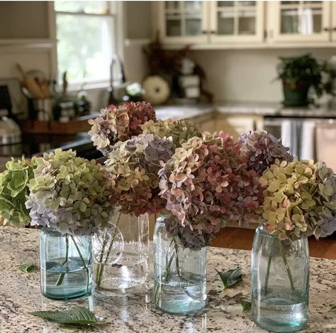 Dry Hydrangeas, Propagating Hydrangeas, Chalk Paint Kitchen, Hydrangea Centerpiece, Hydrangea Bush, Hydrangea Arrangements, Hydrangea Care, Dried Hydrangeas, Hydrangea Not Blooming