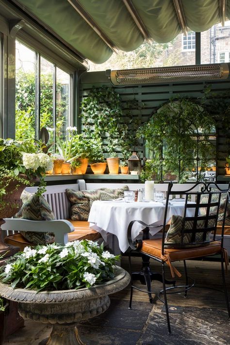 The Ivy Restaurant London, Alfresco Dining Restaurant, Ivy Chelsea Garden, The Ivy Restaurant, Ivy Garden, Ivy Restaurant, The Ivy Chelsea, Restaurant London, Restaurant In London