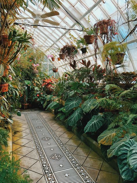 Conservatory Plant Room, Tropical Conservatory, Orchid Conservatory, Plant Conservatory, Studio Greenhouse, Greenhouses Ideas, Aesthetic Greenhouse, Greenhouse Studio, Greenhouse Aesthetic