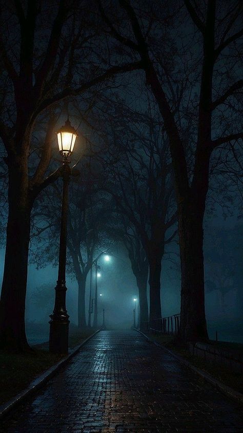 Dark Town Aesthetic, Dark Foggy Aesthetic, Foggy Night Aesthetic, Ruelle Sombre, Dark Nature Photography, Creepy Street, Foggy Wallpaper, Foggy Street, Foggy Aesthetic