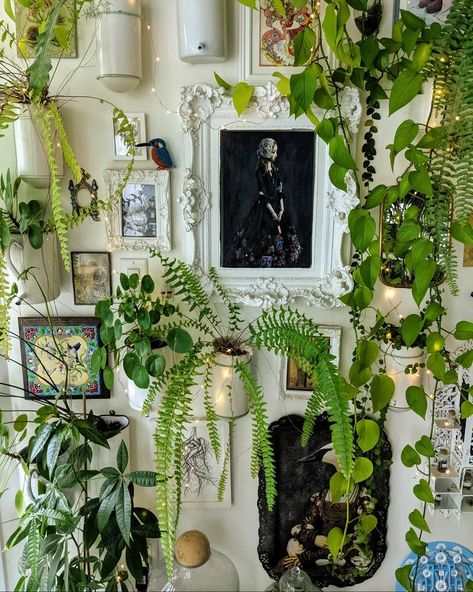 Home Decor Ideas Living Room, Plant Decor Indoor, Plant Aesthetic, House Plants Decor, Ideas Living Room, Room With Plants, Home Decorating Ideas, Green Rooms, Decor Living Room