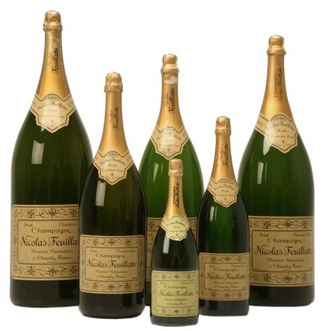 Set of 6 Nicolas Feuillatte Champagne Bottle Store Props | From a unique collection of antique and modern vases and vessels at https://www.1stdibs.com/furniture/decorative-objects/vases-vessels/ Wine Bottle Design, Champagne Bar, Prop Making, Alcohol Bottles, Crystal Champagne, Modern Vase, Small Bottles, Bottle Vase, Vases And Vessels