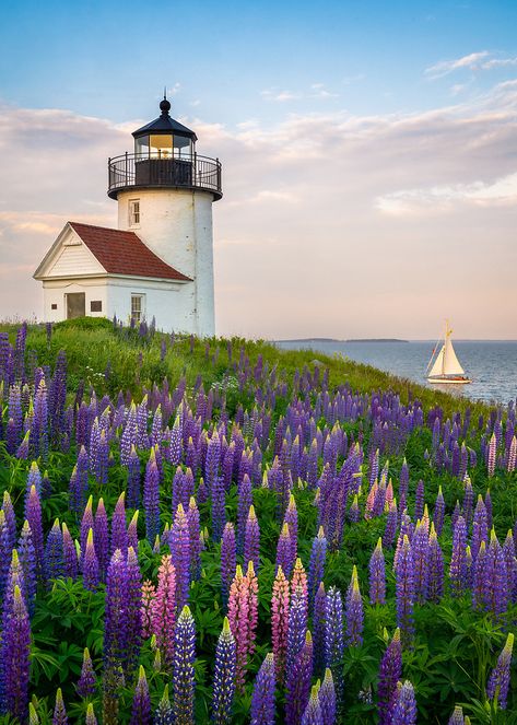 Love, Maine | Coast of Maine Photography by Benjamin Williamson Maine Photography, Lighthouses Photography, Lighthouse Photos, New England States, Lighthouse Pictures, Maine Coast, Beautiful Lighthouse, Scenic Photography, Traditional Landscape