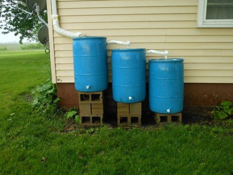 Rain Barrel Stand, Rain Barrel System, Barrels Diy, Water Collection System, Water Barrel, Top Diy, Rainwater Harvesting, Water Collection, Culture Magazine