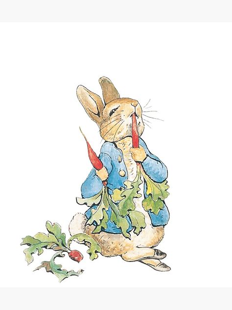 "Peter Rabbit Eating Carrots" Sticker by RickE | Redbubble Peter Rabbit Wallpaper, Peter Rabbit Pictures, Peter Rabbit Illustration, Hare Illustration, Beatrix Potter Illustrations, Young Rabbit, Rabbit Family, Rabbit Wallpaper, Peter Rabbit Party