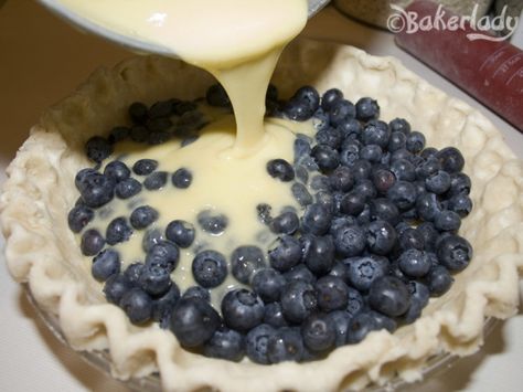 Blueberries and Cream Pie - Bakerlady Blueberry Cream Pie Recipe, Blueberry Cream Pie, Crustless Pie, Blueberries And Cream, Blueberry Cream Pies, Yummy Pies, Summer Pie, Cream Pies, Pie Crumble