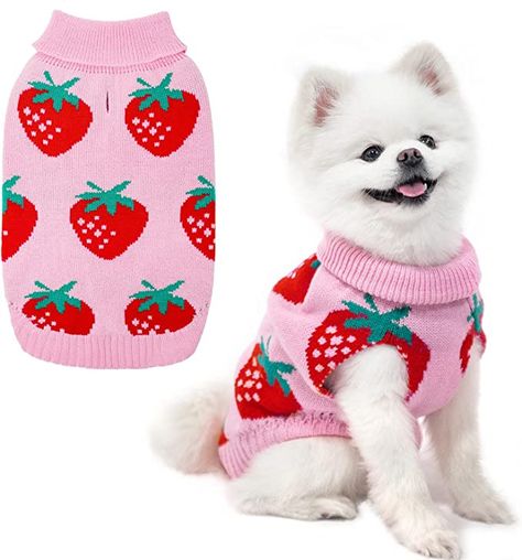 Clothes For Puppies, Cute Pet Clothes, Puppy Things To Buy, Cute Things For Dogs, Pet Things, Cute Puppy Stuff, Clothes For Dogs, Pet Items, Dogs Clothes