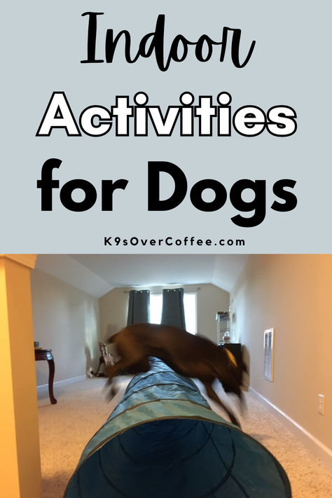 Black dog jumping over a dog agility tunnel inside on carpeted flooring. Dog Nose Work Games, Ways To Entertain Your Dog, Games To Play With Dogs Inside, Indoor Activities For Dogs, Games To Play With Your Dog, Fun Things To Do With Dogs, Games To Play With Dogs, Exercise For Dogs, Enrichment For Dogs