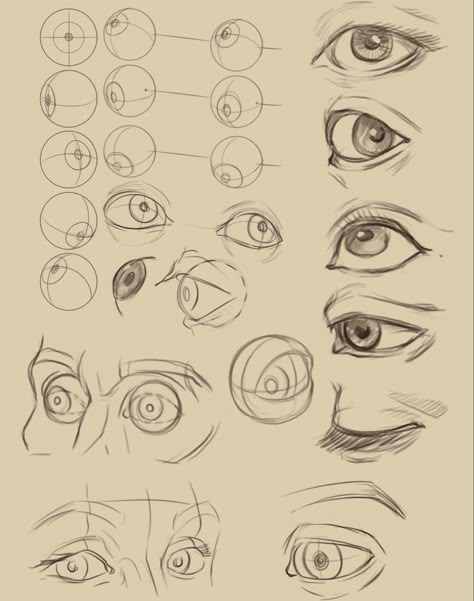 Eye Drawing Study, Face Anatomy Study, Face Study Drawing, Draw Eyes Tutorial, Face Structure Drawing, Drawing Beginners, Pencil For Drawing, Eye Types, Best Mechanical Pencil