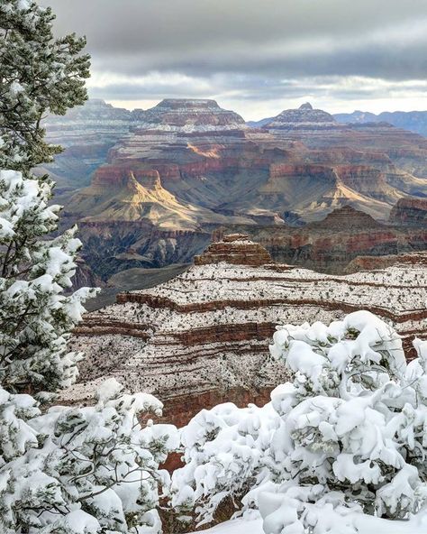 Grand Canyon, Sunrise on Christmas Morning. Grand Canyon Winter, Colorado Plateau, National Park Photos, Morning Sunrise, National Parks Usa, Grand Canyon National Park, The Grand Canyon, Travel Images, Christmas Morning