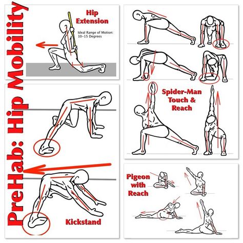 Hip Mobility The Hips are the Prime Movers in Human Movement and maintaining adequate Mobility in all directions of this multi-directional joint will really help make your engine run!  Here is a series of Mobility Exercises for the Hip that will help improve the Range of Motion in all directions, especially if you apply the PNF Stretching Technique of Contract/Relax in each of these exercises.  Start with the Kneeling Lunge to make sure that you can achieve 10 degrees of Hip Extension while main Mobility Exercises Flexibility, Prehab Exercises, Mobility Movements, Hip Mobility Exercises, Human Movement, Rehabilitation Exercises, Stability Exercises, Hip Mobility, Mobility Exercises