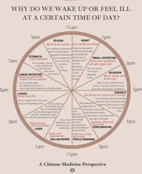 Ayurveda Life, Body Clock, Ayurvedic Healing, Western Medicine, Hormone Health, Holistic Medicine, Time Of Day, Traditional Chinese Medicine, Mental And Emotional Health