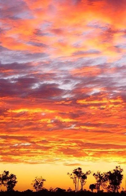 A brillant Outback, Queensland sunrise. Photo: Ardy Sam Mulyanto. Outback Queensland, Australian Painting, Australian Outback, Outback Australia, Beautiful Skies, Australian Travel, Destination Photography, Best Sunset, Landscape Scenery