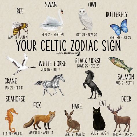 Celtic Zodiac Signs, Celtic Tree Astrology, Celtic Zodiac, Animal Meanings, Animal Spirit Guides, Celtic Astrology, Witch Spirituality, Animal Symbolism, Animal Spirit