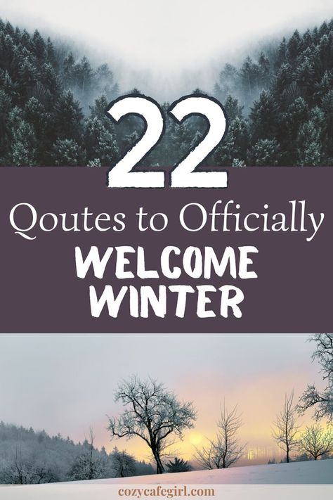 22 quotes to officially welcome winter - green pine trees covered in mist, sunrise on a winter morning with trees on a snowy mountain and the sun in the background - cozycafegirl.com First Snow Quotes, First Day Of Winter Quotes, Winter Solstice Quotes, Winter Captions, Solstice Quotes, Cold Weather Quotes, Snow Quotes, Shortest Day Of The Year, Happy Winter Solstice