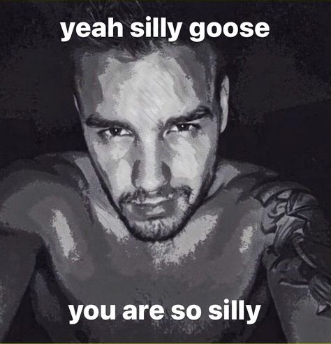 Reaction Pic, One Direction Humor, One Direction Memes, Lin Manuel, Funny Reaction Pictures, Lose My Mind, Really Funny Pictures, Liam Payne, Funny Laugh