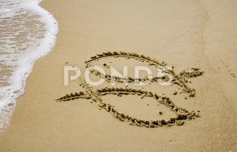 Pisces Stock Photos #AD ,#Pisces#Stock#Photos Zodia Pești, All About Pisces, Pisces Girl, Fish Symbol, Pisces Love, Pisces Woman, Pisces Sign, End Of An Era, Pisces Facts